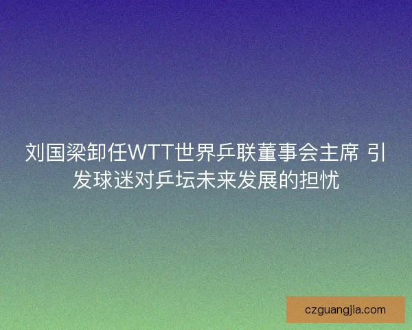 刘国梁卸任WTT世界乒联董事会主席 引发球迷对乒坛未来发展的担忧